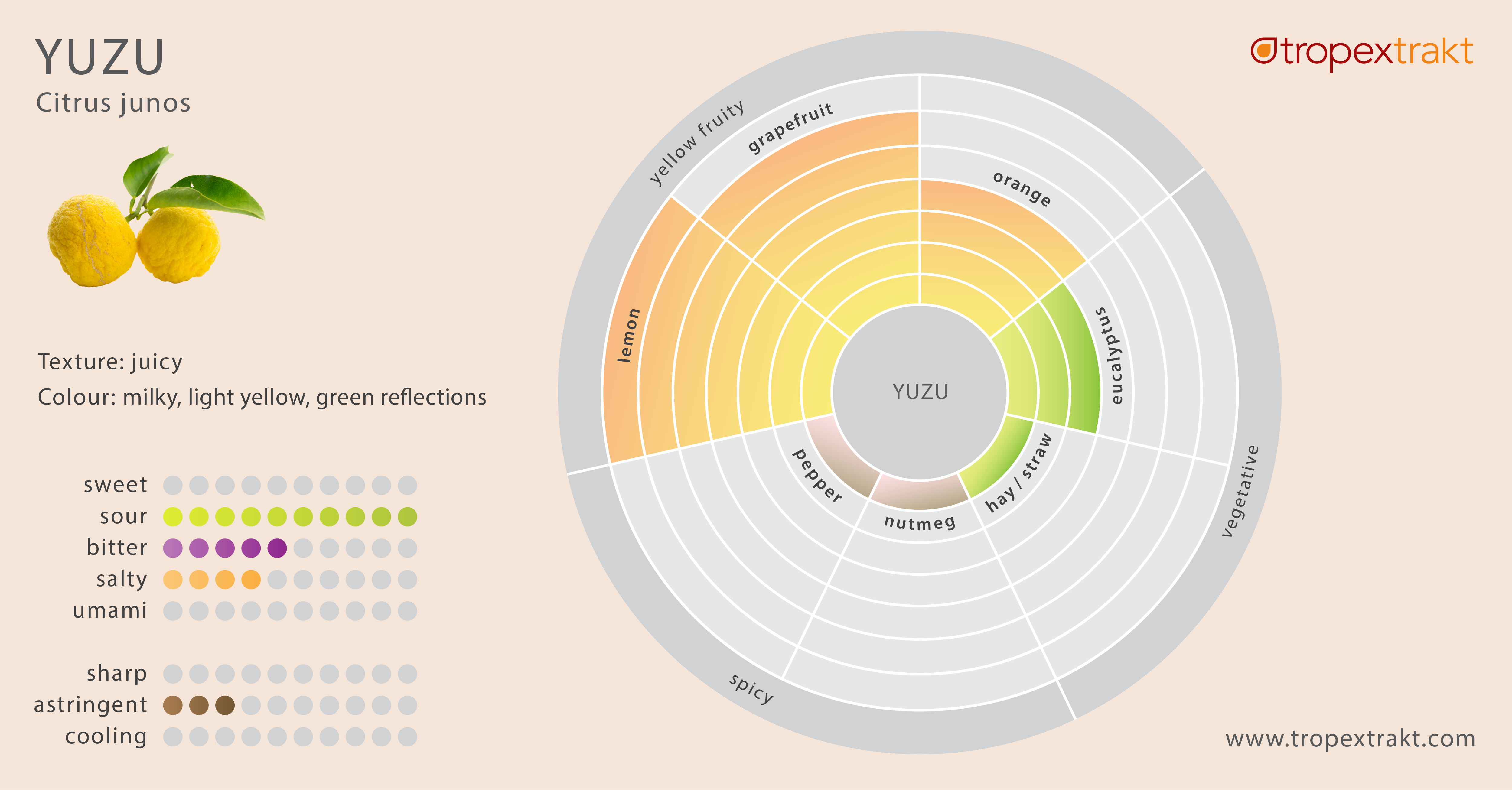 yuzu taste profile