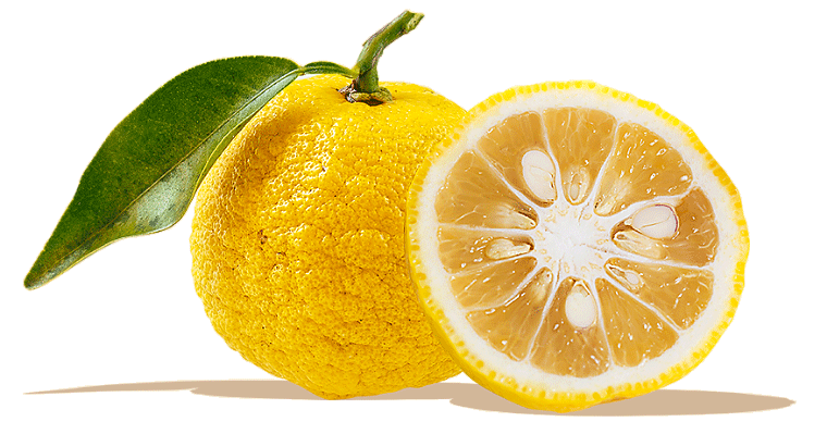 Yuzu