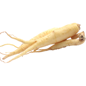 ginseng